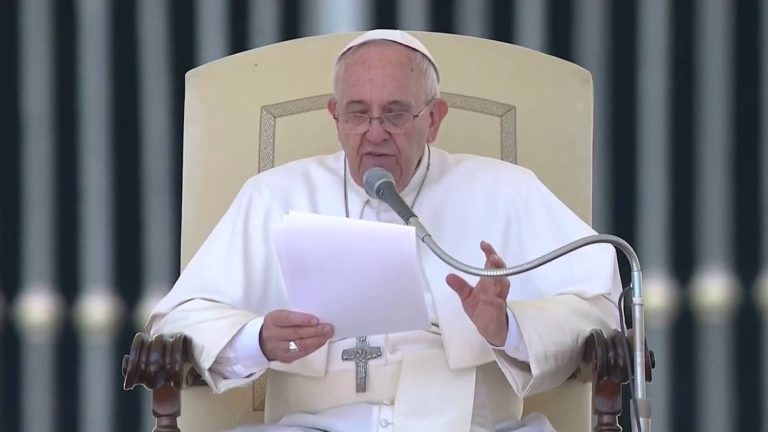 CATEQUESIS DEL PAPA FRANCISCO. Un evangelizador no puede ser impedimento para la obra creadora de Dios