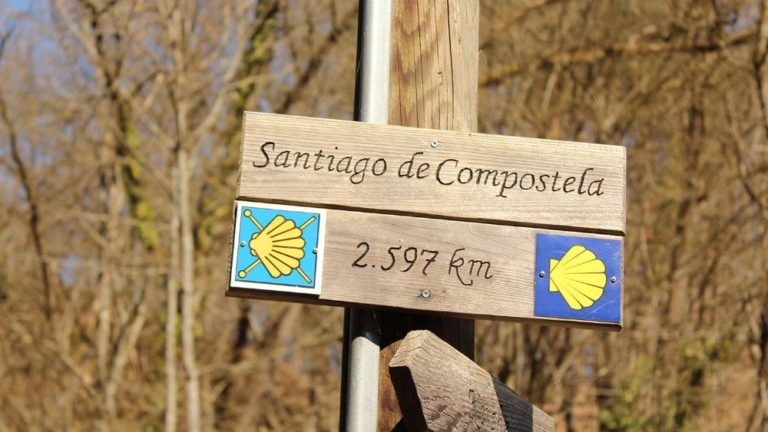 El Papa felicita a Álvaro: joven con discapacidad que recorrió el Camino de Santiago