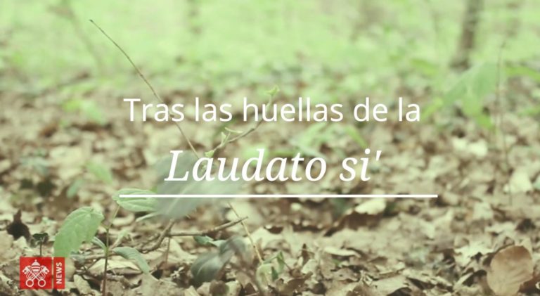 Laudato si’, un llamado a la fraternidad