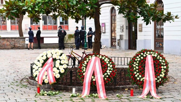 Atentado en Viena, pésame del Papa: no a la violencia, solo el amor extingue el odio