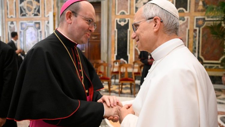 El Papa saluda a los participantes en la Asamblea General anual de las OMP.