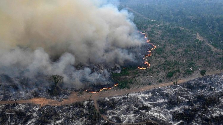 Incendio en la selva amazónica en Lábrea, Brasil  