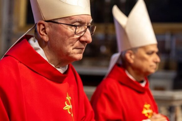 Cardenal Parolin reflexiona sobre la guerra en Gaza y en Ucrania