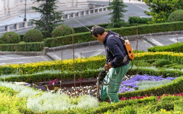 Labores de plantación de las flores para reproducir el escudo de León XIV en los jardines vaticanos. Crédito: Gobernación del Vaticano.