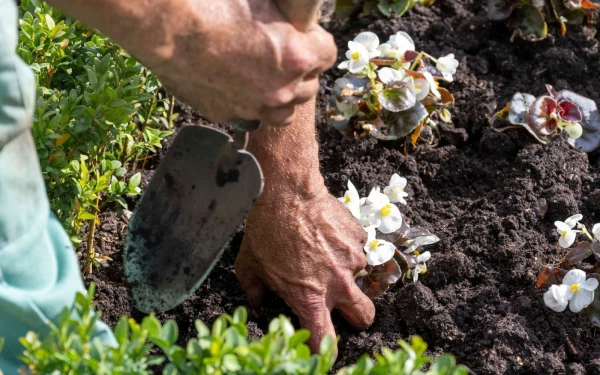Un jardinero del Vaticano trabaja en el escudo floral del Papa León XIV. Crédito: Gobernación del Vaticano.