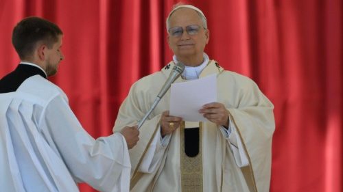 El Papa: Rezo por las familias que sufren por la guerra