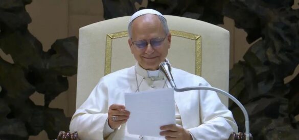 Audiencia General (3)